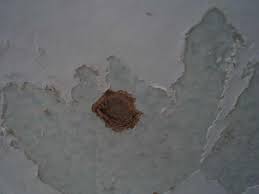 Damaged Walls After Removing Wallpaper Removable Wallpaper Old Wallpaper Remove Wallpaper Glue
