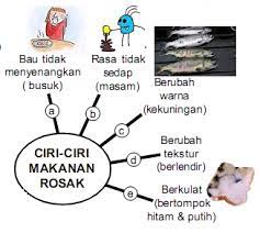 Tahun 6 sains pengawetan makanan. Sains Tahun 4 5 6 Kssr Tahun 6 Pengawetan Makanan