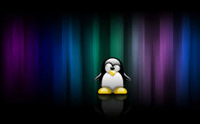 Image result for linux penguin wallpaper