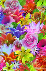 If you collect several different flowers, you get a bouquet. Colorful Assorted Multicolor Flowers Illustration Flower Iphone Wallpaper Rose Flower Wallpaper Flower Art
