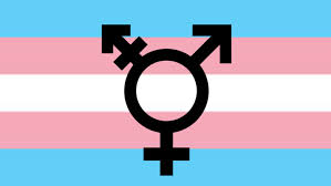 Find over 100+ of the best free transgender flag images. Why We Need To Queer Security Studies