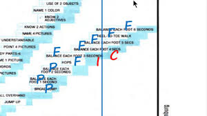 Image result for Denver Developmental Screening Test II