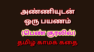 Tamil Kama Kathai Lusty Travels with My Sister-in-law - a Tamil Sex Story