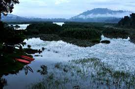 Tasik chini is a lake near the pahang river in central pahang, malaysia. The Legend Of Lake Chini In Pahang Expatgo