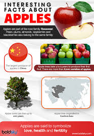 Pollination partner apple varieties in our catalog Apples Health Benefits Risks Recipes Boldsky Com