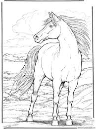 Check spelling or type a new query. Dibujo De Caballo 048 Dibujos Y Juegos Para Pintar Y Colorear