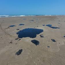 🛢️😰 Así se ve el derrame de petróleo en el Golfo de México: La organización Greenpeace señaló que el derrame se extiende en Tamiahua, Tuxpan, y Cazones, afectado el Corredor Arrecifal al