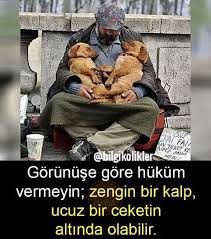 Siz Ne Dusunuyorsunuz Yorum Yapin Gormesini Istediginiz Arkadaslariniz Etiketleyin Daha Fazlasi Icin Bilgikolikler Hesabini Dogs Human Animals