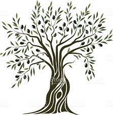 Olive Tree Tree Illustration Olive Tree Painting Tree Artwork