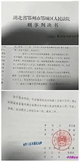 维权网: 湖北反腐记者上官云开被判处重刑15年同案近20人