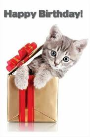 Pin Di Francesca Greco Su Happy Birthday Compleanno Gatti Buon Compleanno Foto Buon Compleanno