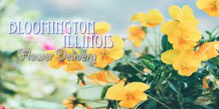 We're family owned and operated, and. The 5 Best Options For Flower Delivery In Bloomington Illinois 2021