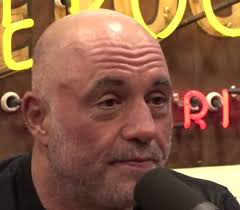 One of Joe Rogan's recent podcasts 😆