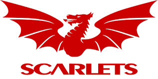 Llanelli Scarlets Pro 12 Wales Scarlets Rugby Wales Rugby Team Rugby