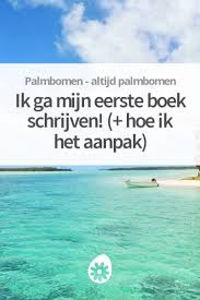 Ik Ga Mijn Eerste Boek Schrijven Hoe Ik Het Aanpak Boek Schrijven Boeken Schrijven