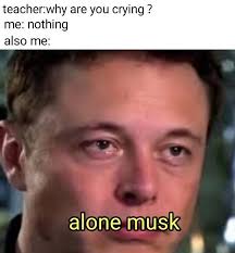 Muskposting Elon Tusk Funny Memes Stupid Memes Dankest Memes