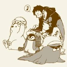 pin by mymyshad on law one piece anime trafalgar law anime shows