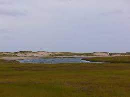 Cape Cod Canal Picnic Review Of Cape Cod Canal Visitors