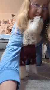 *Roxy Rose's World mail call* Happy birthday Roxy Rose 🌹