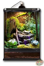 One Of Our Custom Zoo Med Forest Habitats We Have At Zoo Med Hq Great For A Variety Of Forest Reptiles A Frog Terrarium Gecko Terrarium Crested Gecko Habitat