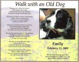 Walk With An Old Dog Pet Loss Poem Pet Loss Poem Old Dogs Dog Poems