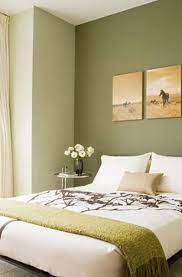 What Colours Go With Olive Green