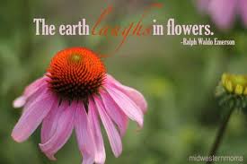 Ralph Waldo Emerson Quote With Images Flower Quotes Flower Quotes Love Garden Quotes