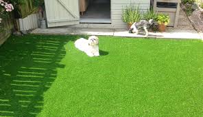 Apr 29, 2018 · when you're looking for your artificial grass cleaners, be looking for bio enzyme or biocidal cleaners. Pet Owners Ask Is Artificial Grass Pet Friendly Grass Direct Blog