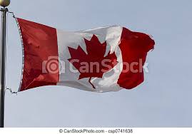 Kanada är ett koloniland ungefär som usa, indianerna som bodde där först fick acceptera europas kolonisation. Kanada Flagga Blad Lonn Kanada Blad Vinkande Flagg Roda Vita Lonn Canstock