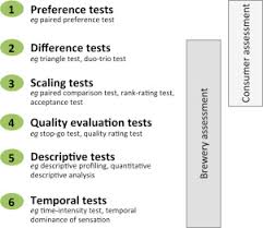 sensory analysis in the brewery sciencedirect