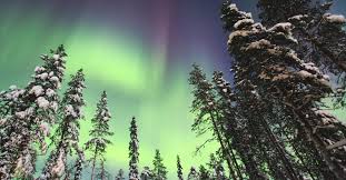 Het noorderlicht (aurora borealis) is een natuurfenomeen en is dus niet exact te voorspellen. Noorderlicht In Lapland Herman Vandamme Busreizen