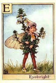 Nasturtium Flower Fairy Vintage Print Cicely Mary Barker The Flower Fairy Shop Flower Fairy Flower Fairies Vintage Prints