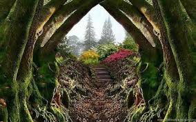 Download and use 40,000+ garden stock photos for free. Entrance To The Secret Garden Wallpapers Desktop Background