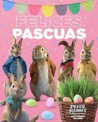 A pesar de sus esfuerzos, peter parece que no puede sacudir su reputación de travieso entre los otros conejos. Facebook