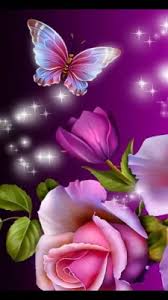 You can download free flower png images with transparent backgrounds from the largest collection on pngtree. Flower Wallpaper Beautiful Butterfly 720x1280 Wallpaper Teahub Io