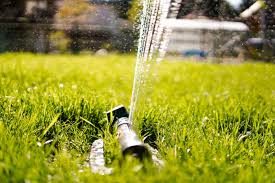 Horticulturist taun beddes of usu extension joined ksl newsradio about. How To Water Your Lawn The Right Way This Summer Fslm