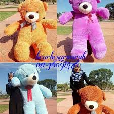 Harga teddy bear yang dijual di kedai terlalu mahal. Teddy Bear Besar Murah Photos Facebook