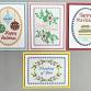 A2 All Occasion Embroidered Cards