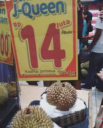 Selain rasanya yang unik, ia mempunyai aroma yang menyelerakan, wangi dan tidak tajam. 5 Fakta J Queen Durian Termahal Seharga Rp 14 Juta Kumparan Com