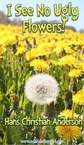 The Proud Little Apple Blossom Apple Blossom Childrens Quotes Dandelion