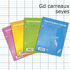 Top office vous propose différents formats pour s'adapter à vos besoins comme par exemple la taille de vos classeurs. 100 Pages Feuillets Mobiles Calligraphe A4 Couleur Au Choix Bleues Chez Rentreediscount Fournitures Scolaires