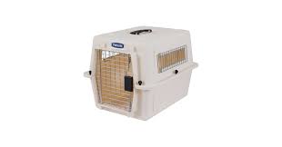 Image result for Crateva eminens