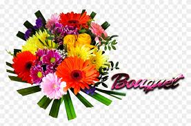 Wählen sie ihre nächste destination ! Bouquet Name Png Ready Made Logo Effect Images Names Flowers Images Png Hd Free Transparent Png Clipart Images Download