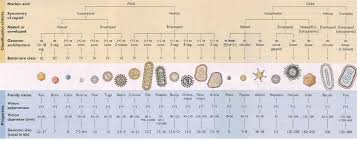 Dsdna, ssdna, dsrna, +ssrna naming viruses and placing them in a taxonomic system is called the classification of viruses. Classification Virology The Non Living Biology
