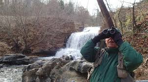 Tanyard creek nature trail, bella vista, arkansas. Bella Vista Trauk Packs Nature Into Easy Walk