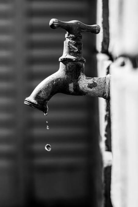 20.000+ melhores imagens de Economize &Aacute;gua &middot; Download 100% gr&aacute;tis &middot; Fotos profissionais do Pexels