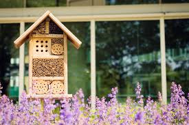 Native to china and japan, it does very well in california and the southern u.s., where it provides excellent ground cover and climbing decoration. 8 Plants And Flowers That Repel Bees Wasps Naturally