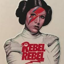 Kelly Streiff's Instagram, Twitter & Facebook