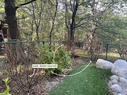 Hosta is an awesome, low maintenance basic for any garden design. How Do You We Disguise A Chain Link Fence A Quick Backyard Update And Rant About Dead Plants Chain Link Fences And Our Not Quite Romantic Hot Tub Area Emily Henderson