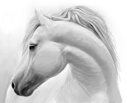 Cavallo Bianco Disegni Facili Da Fare Con Matita Leggere Sfumature E Sfondo Bianco Disegni Di Cavalli Disegno Di Cavallo Disegni A Matita
